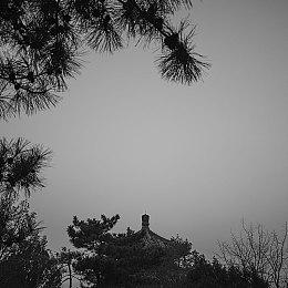 《碧蓝幻想Versus: Rising》2B新实机 2月20日上线